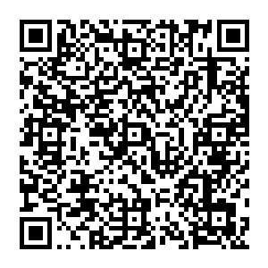 以至于他下面讲的如何才能确保实现财政收入和gdp双双翻番的另外两个重大举措都没人用心听了二维码生成