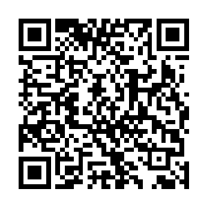 以至于他们甚至不确定用这样的方式能否撑到胜利的一刻二维码生成