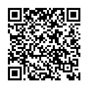 以至于他空有一身修为却拿实力不怎么样的苏落毫无办法二维码生成