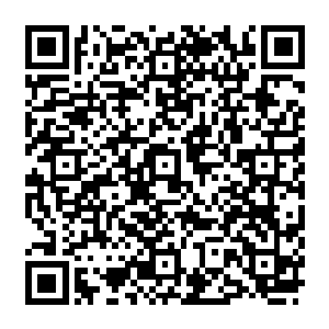 以至于其它皇子打回来的小猎物都是被他先用染色又没有伤害作用的箭支先过了一遍的二维码生成