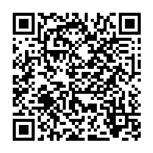 以至于就连那绽放着璀璨光辉的枝叶也菩提果也变得有些暗淡起来二维码生成