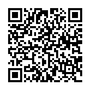 以至于每次宗门大比的时候总会亦步亦趋地跟在安齐远后面二维码生成