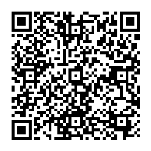 以至于激动中忘了往边上挪位置的冯琦雪和陈语诗成了碧丽丝和琳达前进路上的障碍物二维码生成