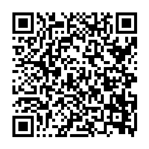 以至于眨眼间楚旬眼前的视野便全部被这密密麻麻数之不尽的巨型蟑螂所充斥二维码生成