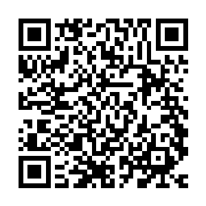 以致对地震的孕育过程和影响这一过程的种种因素缺乏观测数据二维码生成