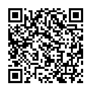 以被残破神甲保护的部位硬生生的承受了那柄大锤的攻击二维码生成