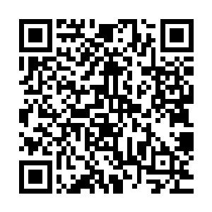 以这些不法之徒去对付荒州之内不服太夏统御的未开化的蛮夷二维码生成