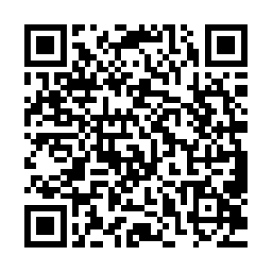 以龙小友现在的修为在天外天界的确很难有什么太大的作为了二维码生成