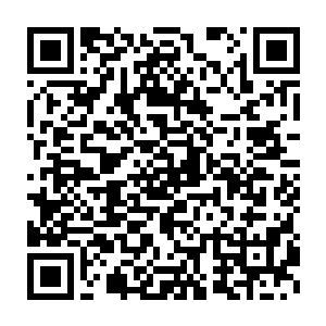 仲华也认为这次推荐丁二狗不过是争夺人事任命权的一次试水而已二维码生成