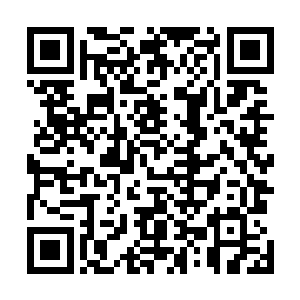 任何一个宗门或者家族都不会拒绝这样一支力量成为嫡系二维码生成