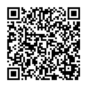 任何一个能够半步万象境纹师能够瞬发堪比九重异象宗师全力一击的元纹二维码生成