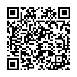 任何一面城墙的攻击都无法突破五百蛮王妖术交织出来的天幕二维码生成