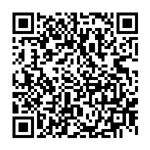 任何事情都必须以雷欢喜的想法为优先――这是哈特曼先生交代给他们的命令二维码生成