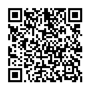 任何人都不敢对符宗这位老祖宗的实力产生怀疑二维码生成