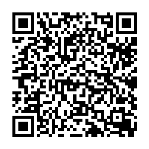 任何复杂外型的人型机器人在可见光和雷达波段上的信号将会如同太阳一样耀眼二维码生成