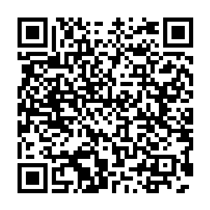 任凭他怎么践踏我的尊严我都会像狗一样再爬回来求他可怜我收留我二维码生成