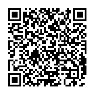 任凭王富贵如何的遮挡也挡不住龙小宝的那一对滴溜溜乱转的贼眼二维码生成