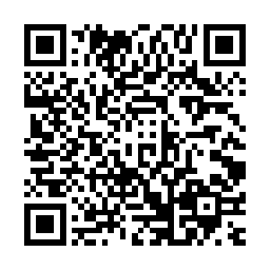 任务大厅里原本发放任务的筑基期修士也被炼气期修士替代了二维码生成
