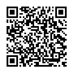 任务并未说明只有抽中这张任务卡的武者才能去完成这个任务二维码生成