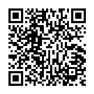 任务要求的采摘量和时间在完成之后可以得到采摘品中的半成二维码生成