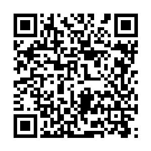 任性地消磨自己在这里即将要融化的战斗力和斗志二维码生成