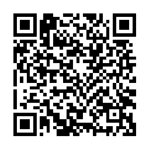 任由林烽引导着它按照尸阴宗弟子的淬炼之法开始淬炼了起来二维码生成