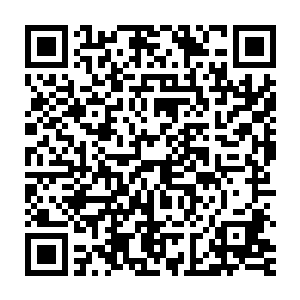 任由王浩文把他的外套披在我身上这些小细节此刻我根本无暇纠结顾及二维码生成