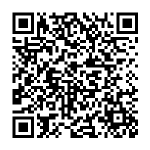仿佛不经意地就对切萨雷介绍起了他们参观的景点背后的历史底蕴二维码生成