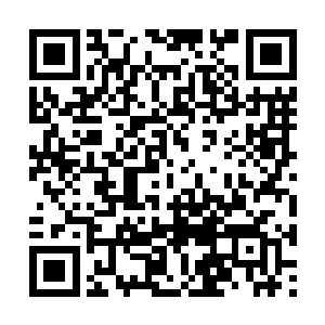 仿佛为这些武者不敢动弹的原因找出了正确的答案二维码生成