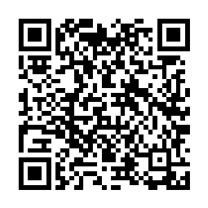仿佛他们葬魂会的电脑档案里早就记录过这些一样二维码生成