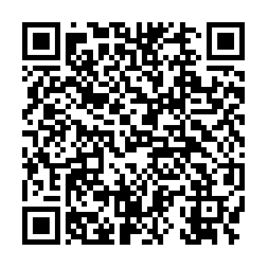 仿佛只要稍一用力就会崩碎的五色蛛网却硬生生的拦截住了这无尽雷电二维码生成