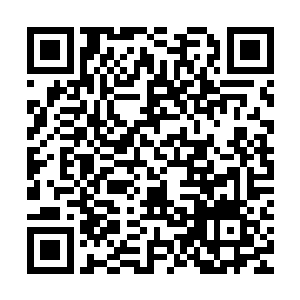仿佛在抗议林烽刚刚亲了自己一口又立刻让自己边儿玩去的态度二维码生成