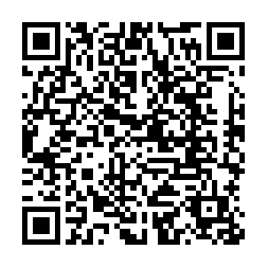 仿佛在通过画面进行无声的交流……这种片段才是真正的在大秀演技二维码生成