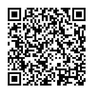 仿佛她正在展示的是全新的一面――一个从来没有在任何人跟前展露过二维码生成