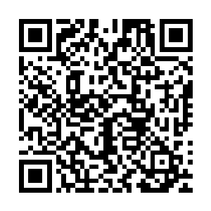 仿佛已经彻底死心了……尽管彭越怎么都不太相信这会是事实二维码生成