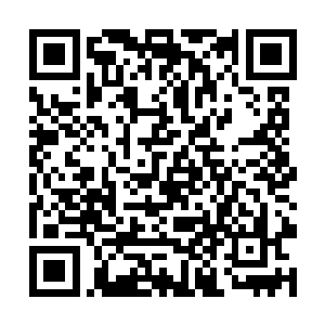 仿佛已经猜到了在下一秒中那些绿色的颗粒就会融化二维码生成