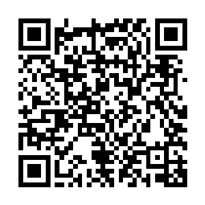仿佛巴不得现在就将叶岱林手中的东西抢过来仔细研究一番了二维码生成