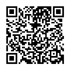 仿佛摆在他们眼前的不是一条充满剧毒的上古异兽金丝银线色二维码生成
