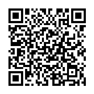 仿佛是午后在院子里打瞌睡不小心碰到桌角疼醒的时光二维码生成