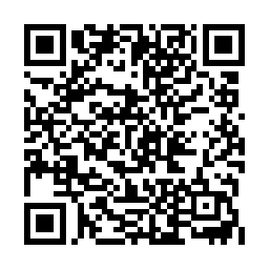 仿佛是意识到了自己真的再次拿到了这样的殊荣二维码生成