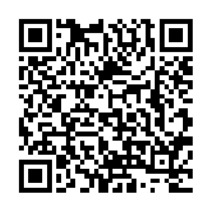 仿佛是有无数充满劲道的藤条不问青红皂白的疯狂抽打而来二维码生成