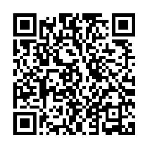 仿佛有什么速度极快的东西正在划破血海朝他们逼近过来一样二维码生成