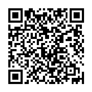 仿佛树根一样缠绕到了由于基因而倒下去的普通人身上二维码生成