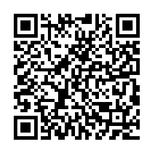 仿佛这两位强壮无比的拳手不是在互相拿自己的姓命在搏杀二维码生成
