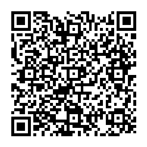 伊布千辛万苦在死域寻找能够治疗大精灵王被神之本源化成的火焰伤害伤势的药物二维码生成