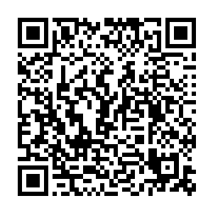 伊莎贝拉点了点头 她表现的很淡定 淡定的一点失忆的样子都沒有二维码生成