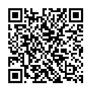 伊达尔戈女士率领的巴黎经济贸易访问代表团到达云东的第一天二维码生成