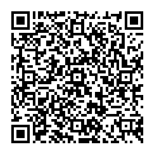 众人也是如此　欢呼之后便剩下了离别的萧条　但在这一刻　原本趴在地上的风清扬忽然翻身而起二维码生成