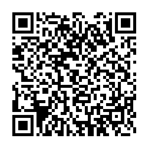 众人也纷纷从自己的收纳器中拿出了一百颗左右的精灵宝钻丢给他二维码生成