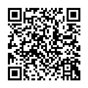 众人又感觉到一股股玄妙而神奇的能量开始萦绕在杨开的体外二维码生成